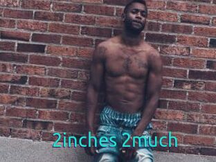 2inches_2much