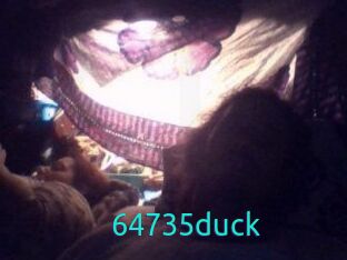 64735duck