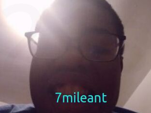 7mileant