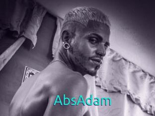 AbsAdam