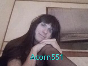 Acorn551