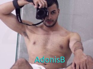 AdonisB 21 sextury Link