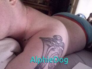 Alphie_Dog