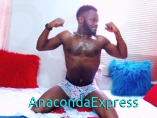 AnacondaExpress