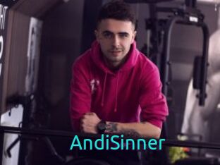 AndiSinner
