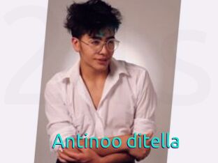 Antinoo_ditella