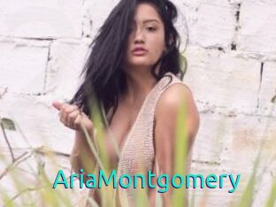 AriaMontgomery