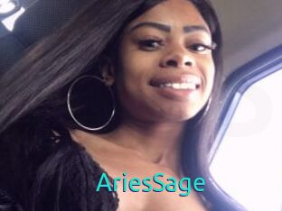 AriesSage