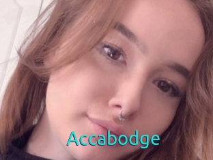 Accabodge