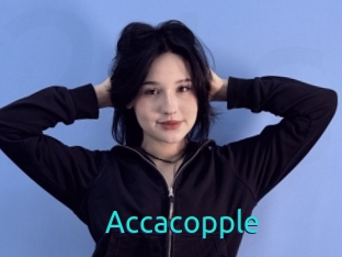 Accacopple