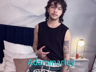 adammarley 21 sextury Link