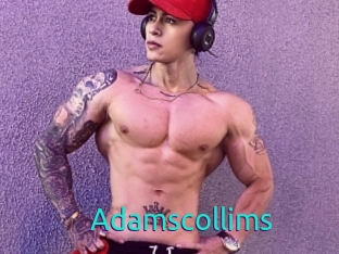 Adamscollims