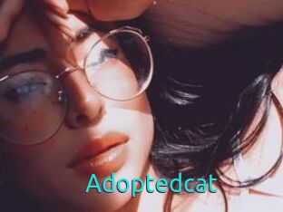 Adoptedcat