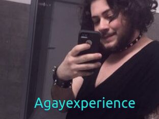 agayexperience 21 sextury Link