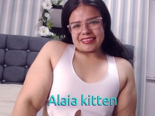 Alaia_kitten