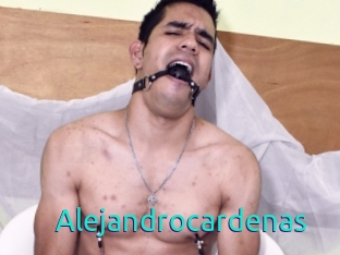 Alejandrocardenas