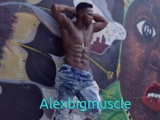 Alexbigmuscle