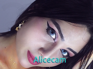 Alicecam