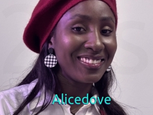 Alicedove