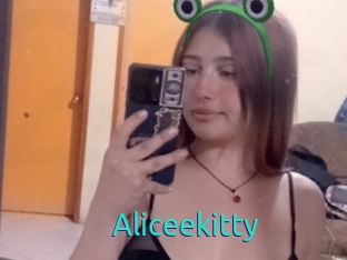 Aliceekitty