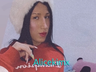 Alicekimx