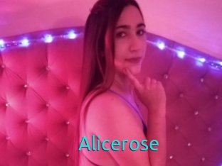 Alicerose