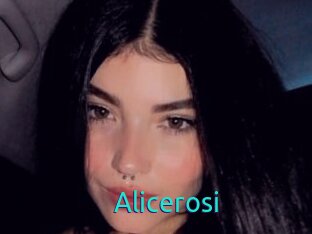 Alicerosi