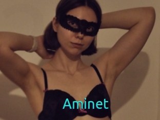 Aminet