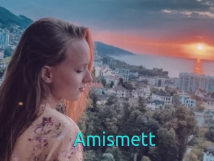 Amismett