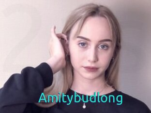 Amitybudlong