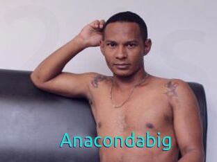 Anacondabig