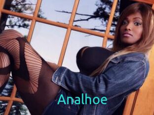 Analhoe