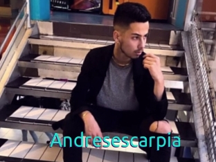 Andresescarpia