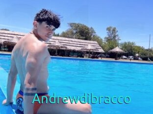 Andrewdibracco