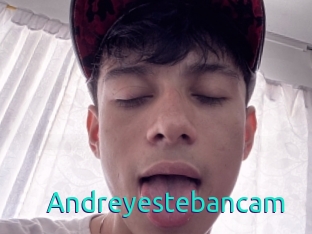 Andreyestebancam