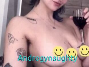 Androgynaughty