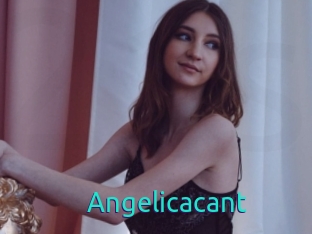 Angelicacant