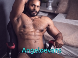 Angeloevans