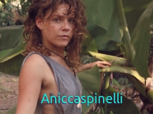 Aniccaspinelli