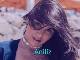 Aniliz