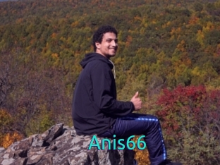 Anis66