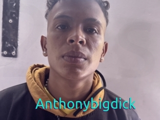 Anthonybigdick