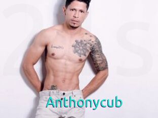 Anthonycub