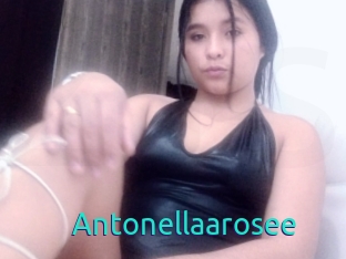 Antonellaarosee