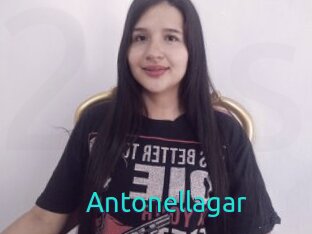 Antonellagar