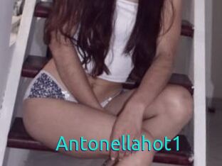 Antonellahot1