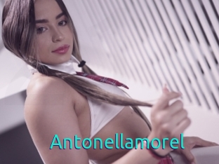 Antonellamorel