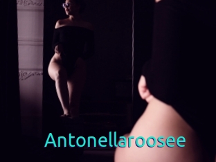 Antonellaroosee