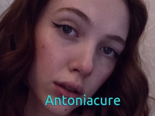 Antoniacure