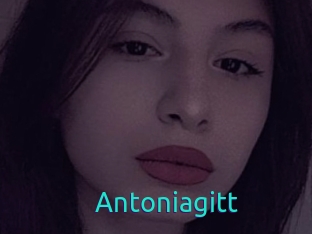 Antoniagitt